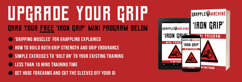 Banner for Iron Grip Guide Program